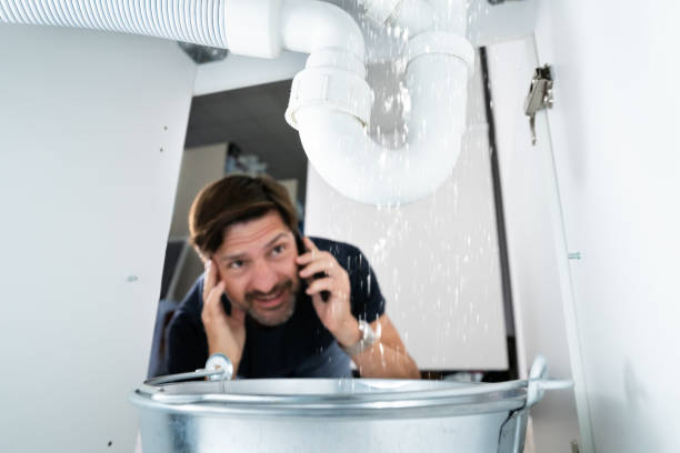 Best Emergency Plumber  in Coyne Center, IL