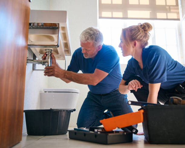 Best Affordable Plumber Near Me  in Coyne Center, IL