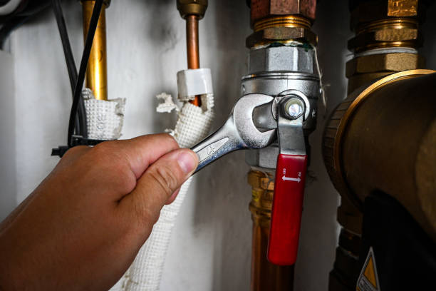 Best Plumbing Inspection Services  in Coyne Center, IL